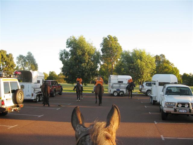 SES Mounted Section